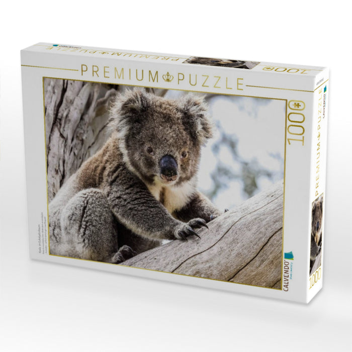 Koala im Eukalyptusbaum - CALVENDO Foto-Puzzle'