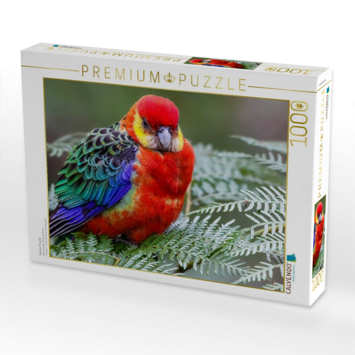Western Rosella - CALVENDO Foto-Puzzle'