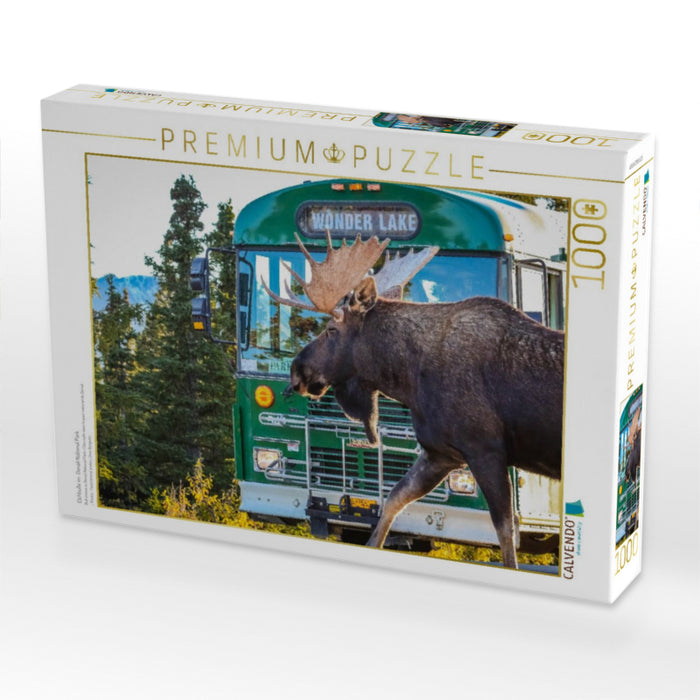 Elchbulle im Denali National Park - CALVENDO Foto-Puzzle'