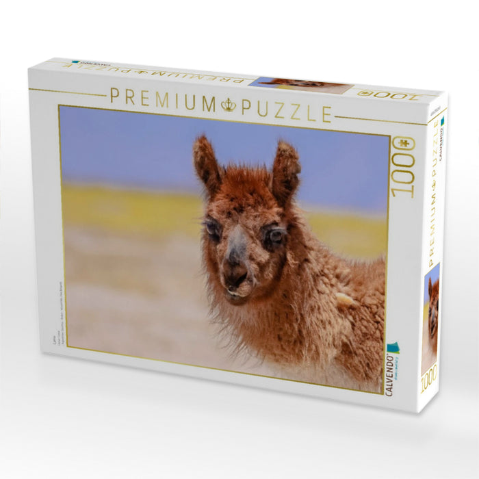 Lama - CALVENDO Foto-Puzzle'
