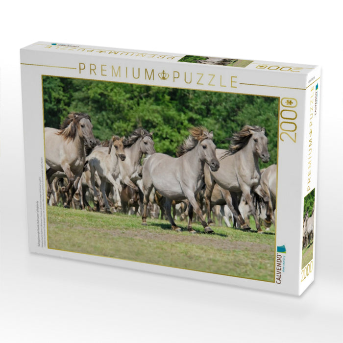 Galoppierende Herde Dülmener Wildpferde - CALVENDO Foto-Puzzle'