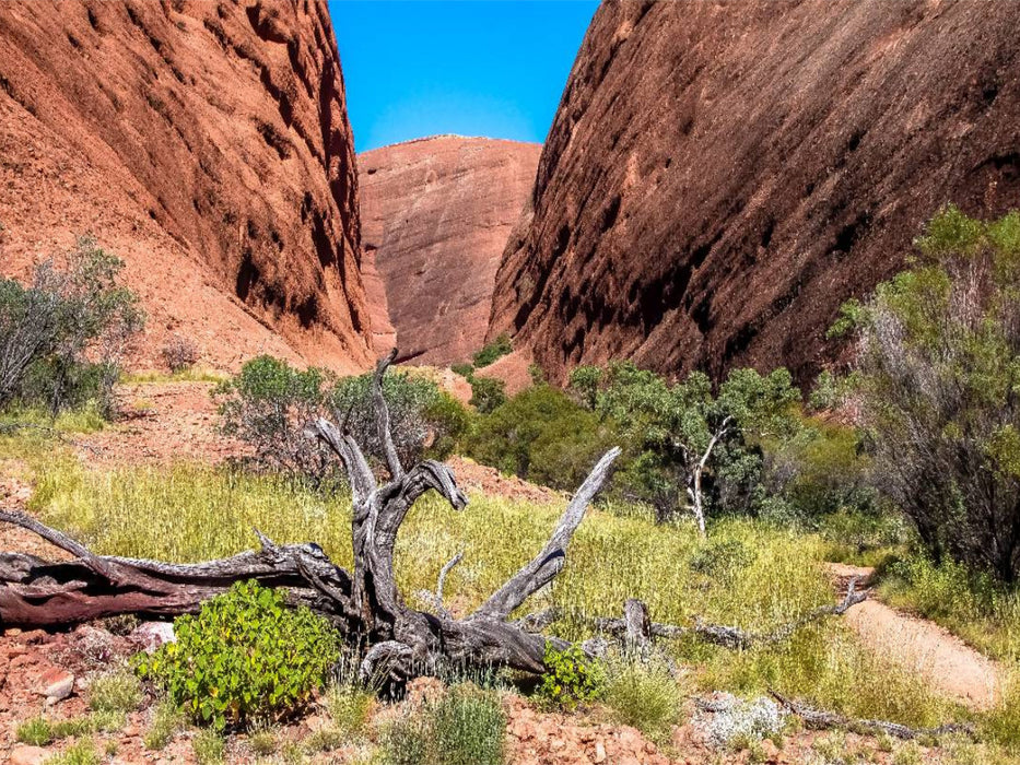 Roter Felswände im Kata Tjuta NP - CALVENDO Foto-Puzzle'
