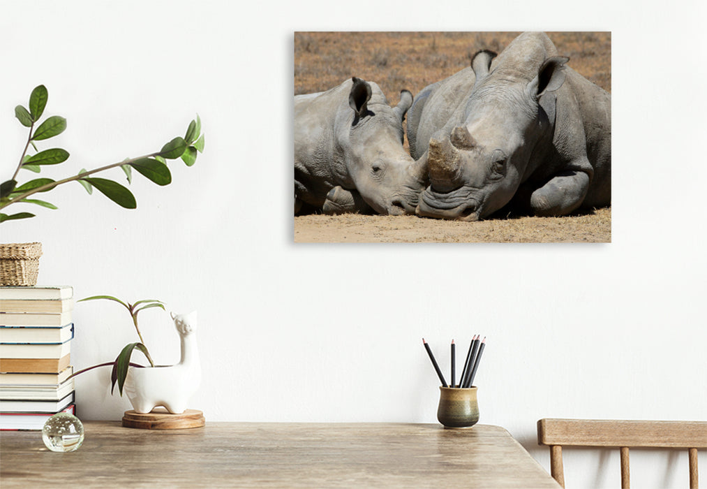 Toile textile premium Toile textile premium 120 cm x 80 cm paysage rhinocéros - temps des câlins 