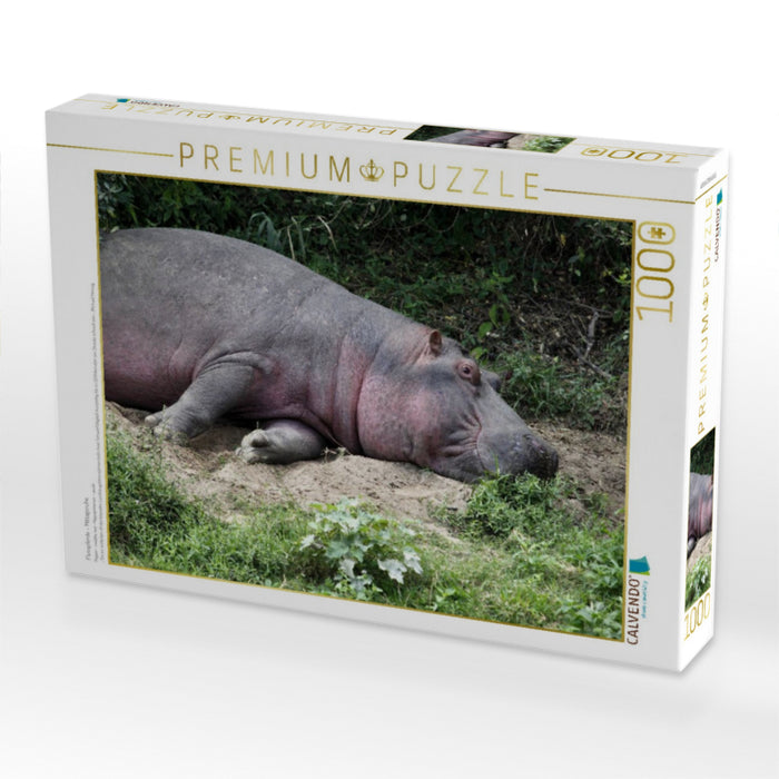 Flusspferde – Mittagsruhe - CALVENDO Foto-Puzzle'