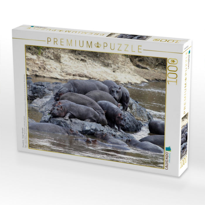 Flusspferde – felsiger Rastplatz - CALVENDO Foto-Puzzle'