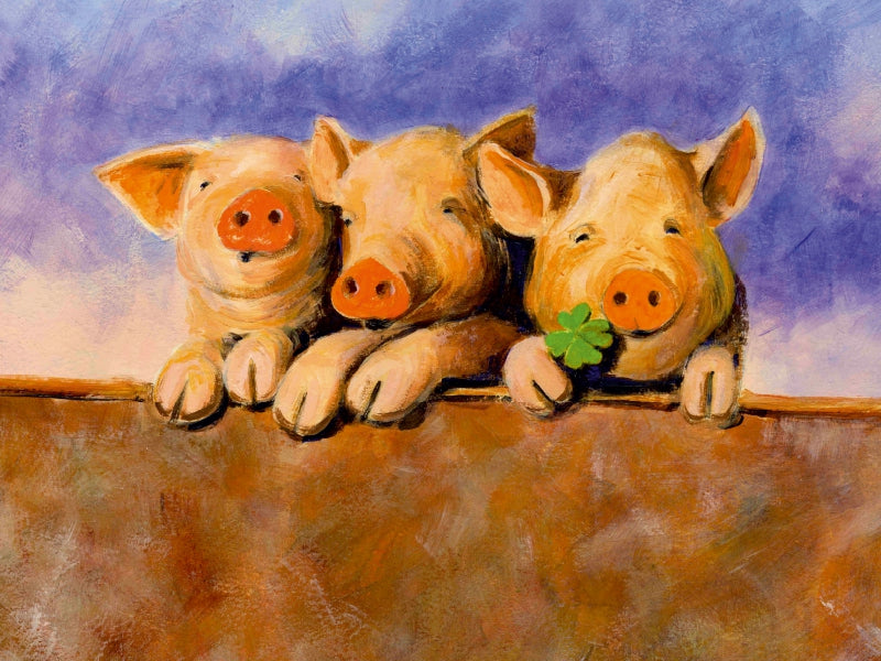 Had a pig - CALVENDO photo puzzle 