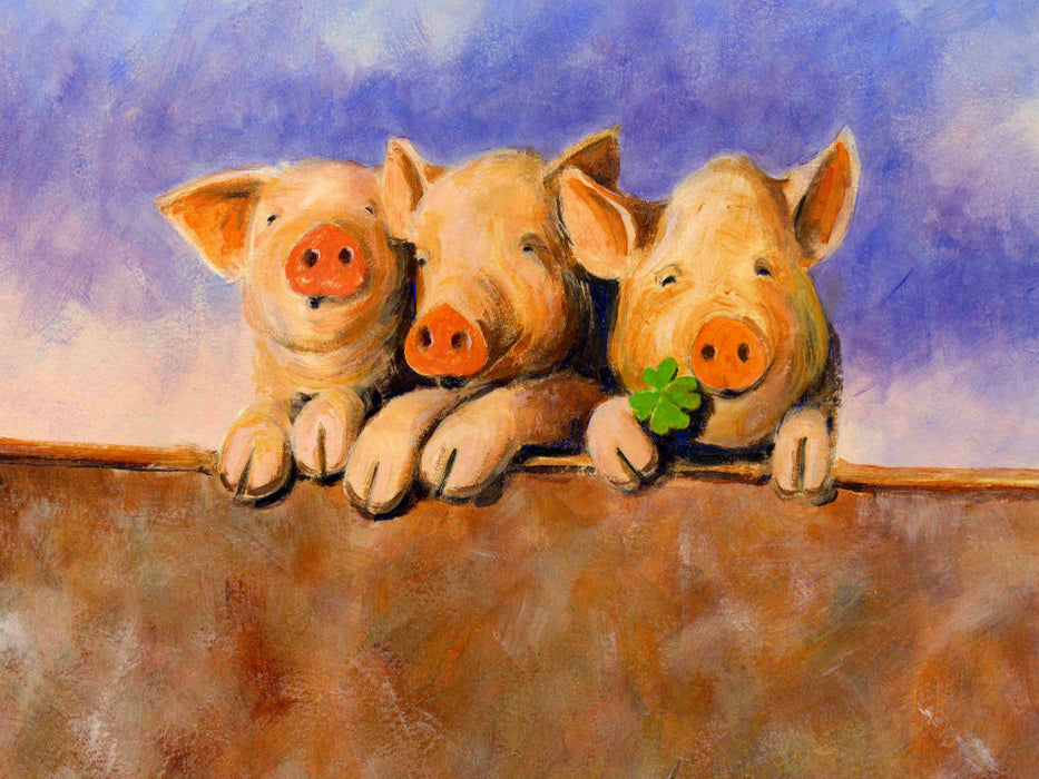 Schwein gehabt - CALVENDO Foto-Puzzle'