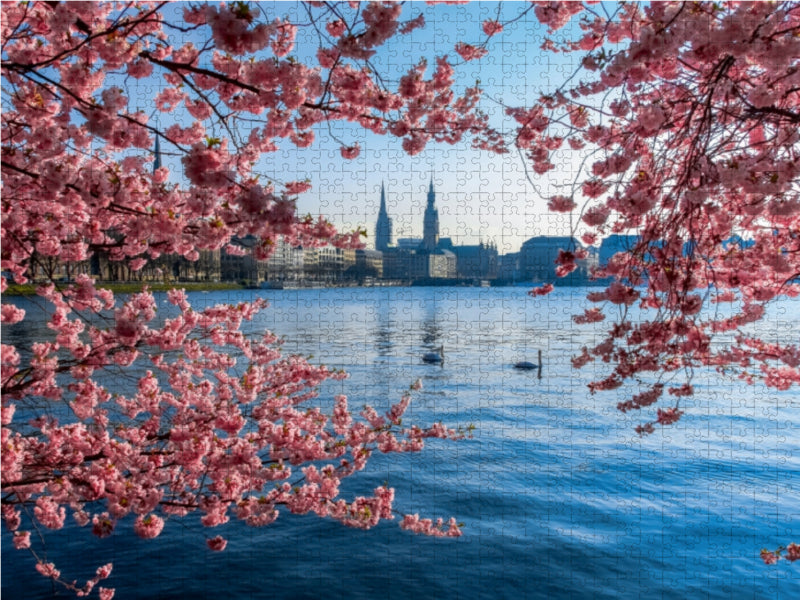 Japanische Kirschblüten an der Binnenalster 1000 Teile Puzzle quer - CALVENDO Foto-Puzzle'
