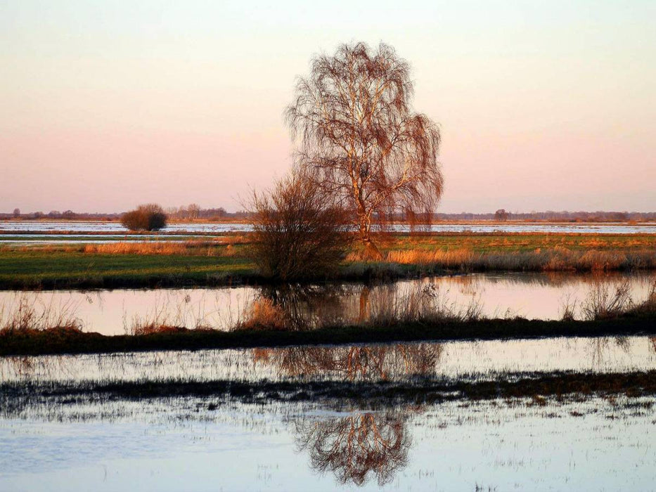 Die Hammewiesen in Osterholz- Scharmbeck - CALVENDO Foto-Puzzle'