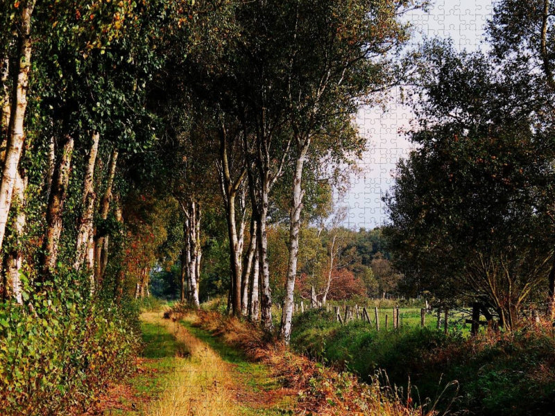 Das Randmoor in Pennigbüttel im Teufelsmoor - CALVENDO Foto-Puzzle'
