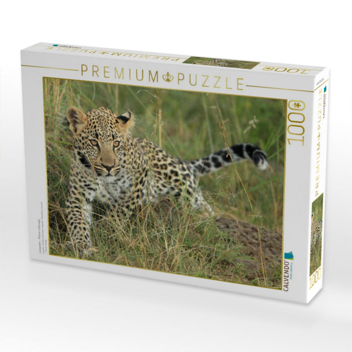 Leoparden – Kleiner unterwegs - CALVENDO Foto-Puzzle'
