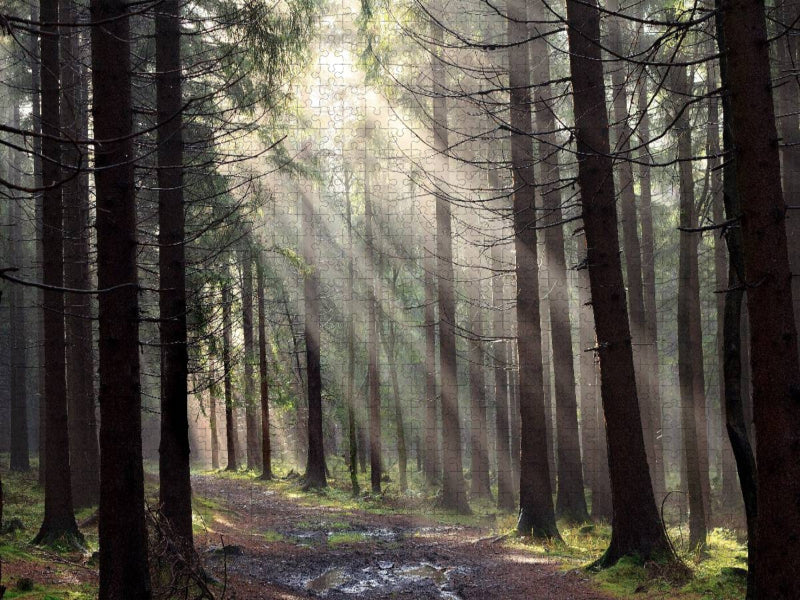 Nach dem Regen, Erzgebirge - CALVENDO Foto-Puzzle'