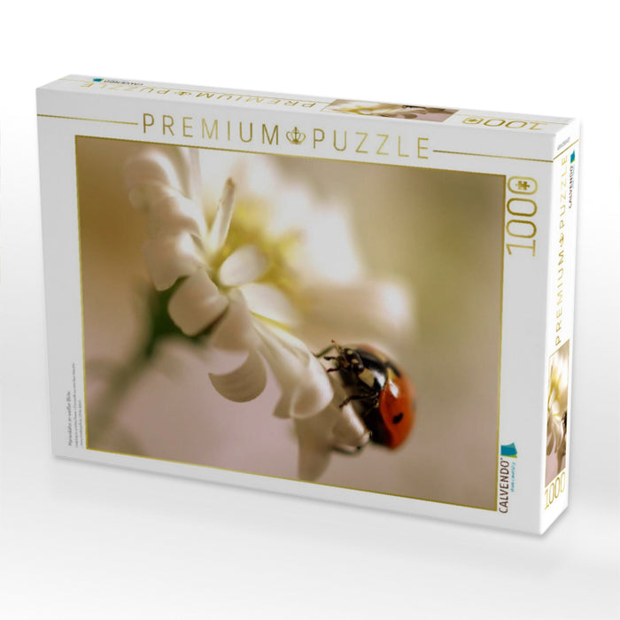 Marienkäfer an weißer Blüte - CALVENDO Foto-Puzzle'