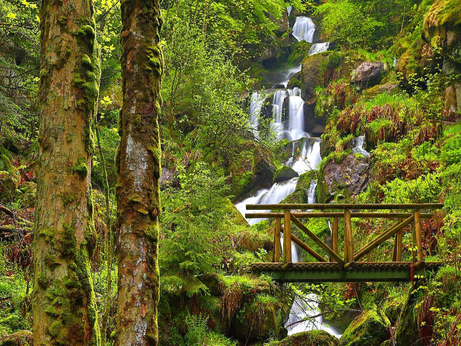 Der Gertelbach - CALVENDO Foto-Puzzle'