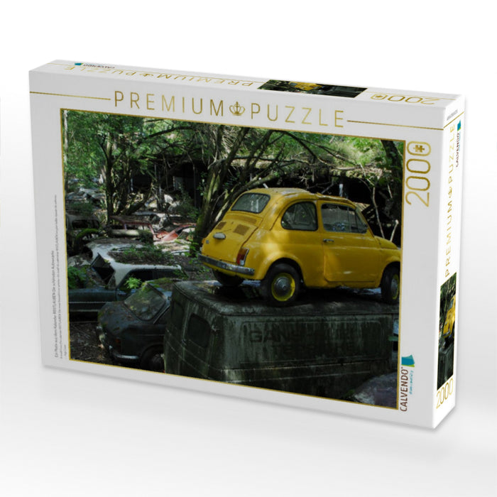 Ein Motiv aus dem Kalender ROSTLAUBEN Die schönsten Autowracks - CALVENDO Foto-Puzzle'