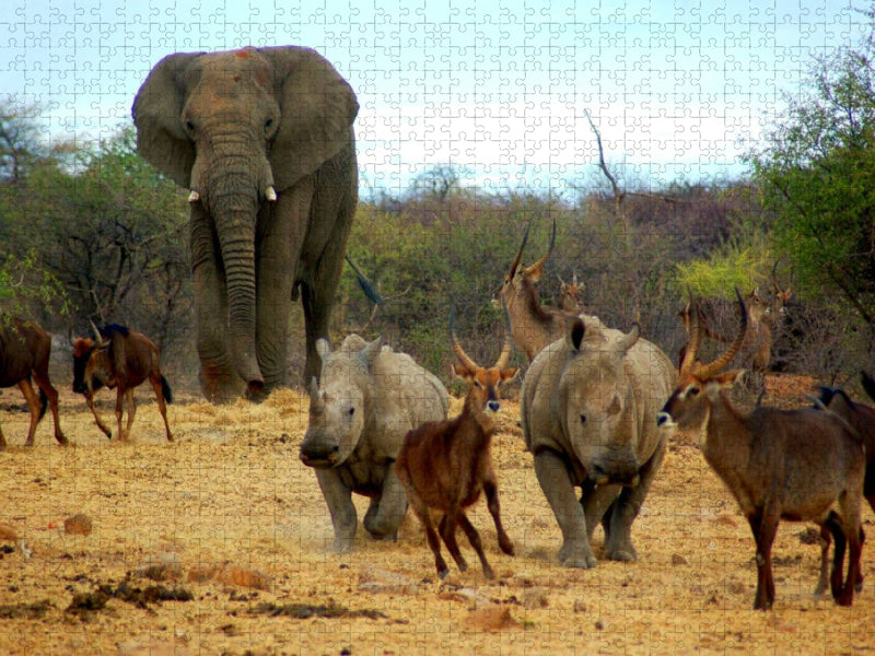Elefant und andere afrikanische Tiere - CALVENDO Foto-Puzzle'