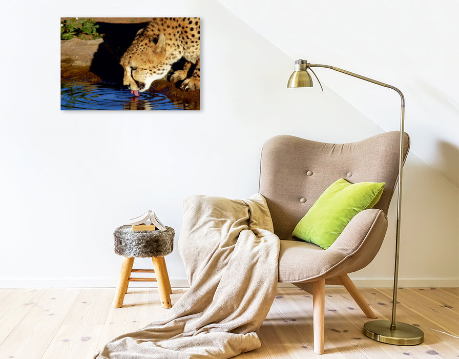 Premium Textil-Leinwand Gepard