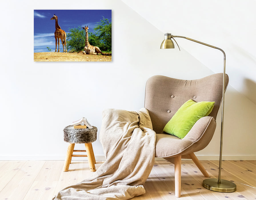 Premium Textil-Leinwand Giraffen