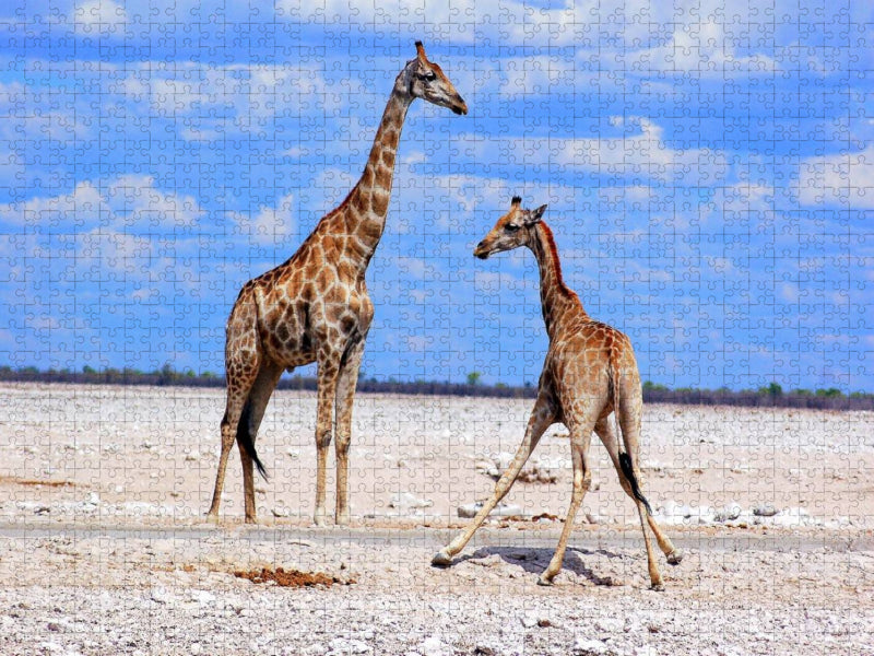 Etosha Giraffen - CALVENDO Foto-Puzzle'