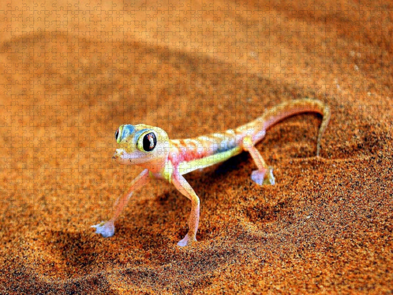 Gecko - CALVENDO Foto-Puzzle'