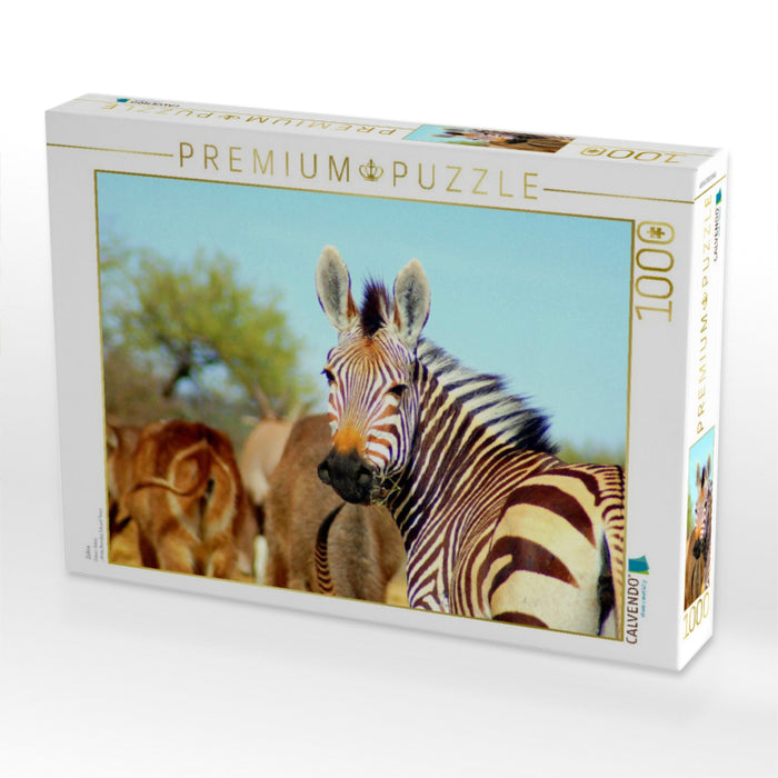 Zebra - CALVENDO Foto-Puzzle'