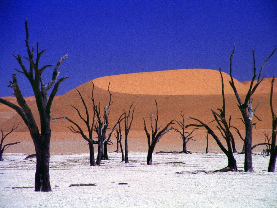 Wüste Namib - CALVENDO Foto-Puzzle'