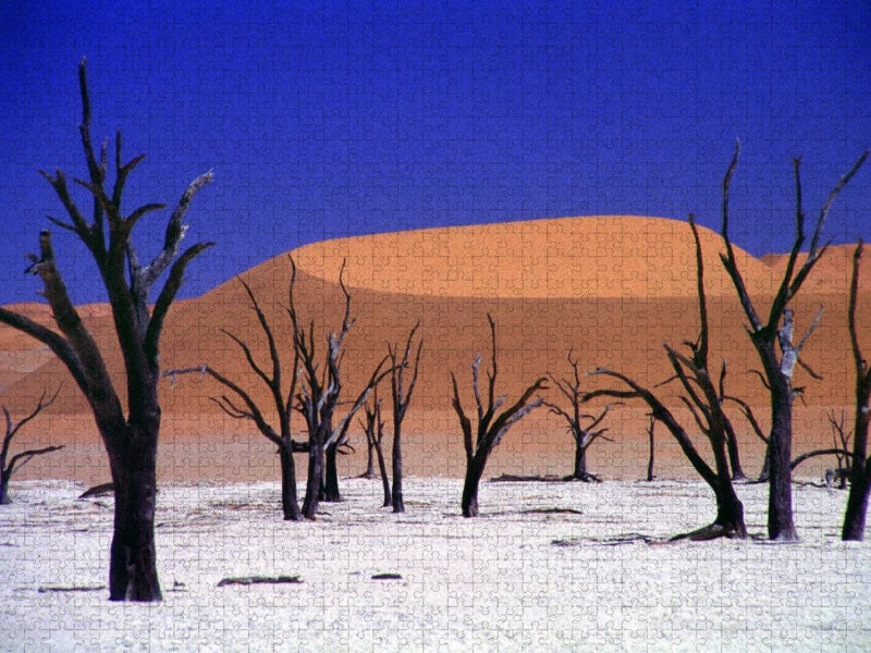 Wüste Namib - CALVENDO Foto-Puzzle'