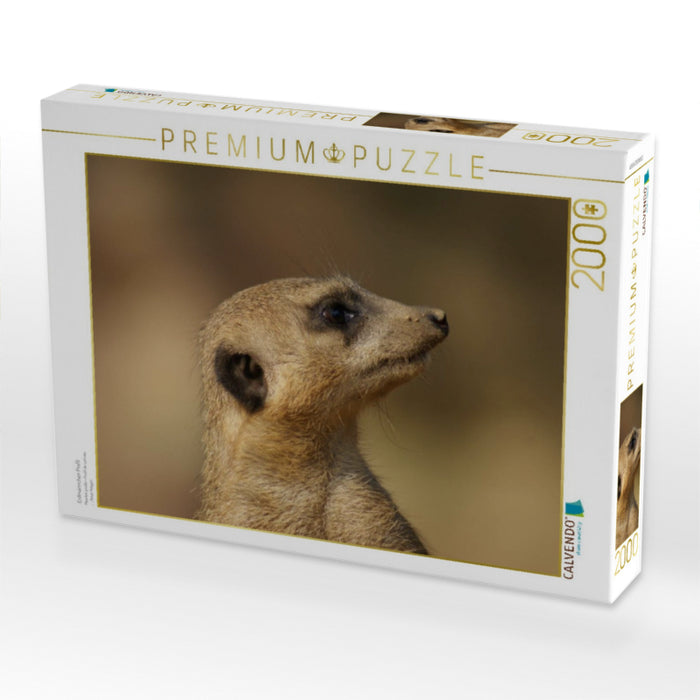 Erdmännchen Profil - CALVENDO Foto-Puzzle'