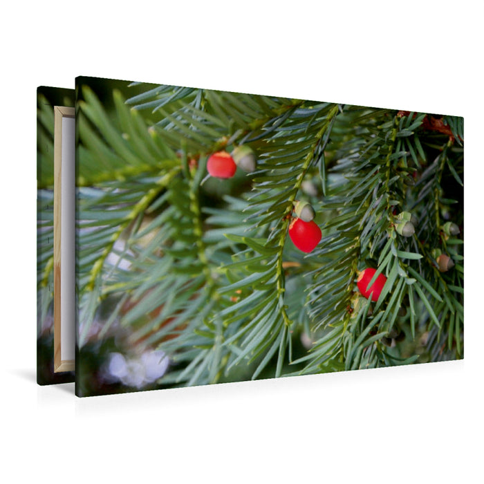 Premium Textil-Leinwand Eibe