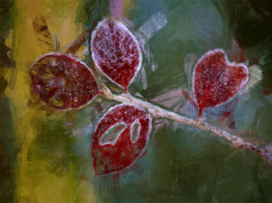 Ein Motiv aus dem Kalender Blumen und Blätter in abstrakter Art - CALVENDO Foto-Puzzle'