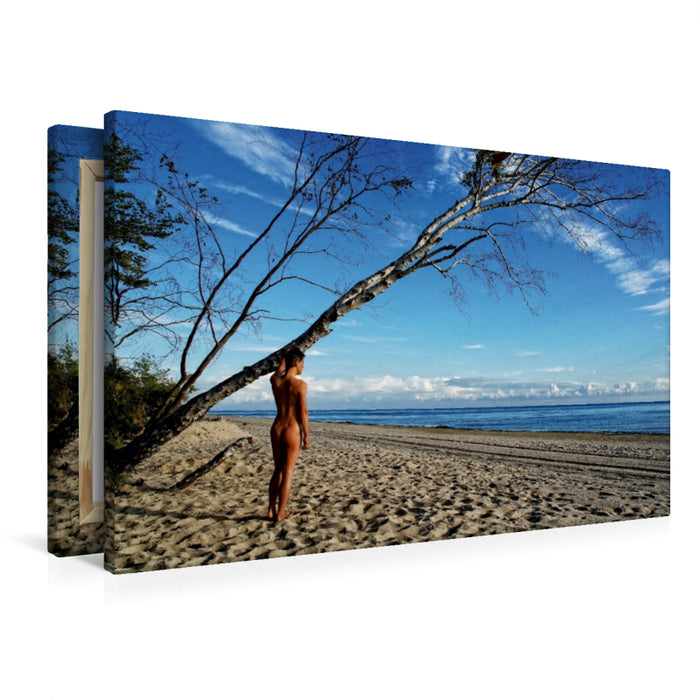 Premium Textil-Leinwand Search