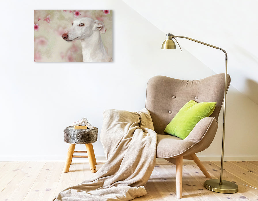 Premium Textil-Leinwand Weiße Galga