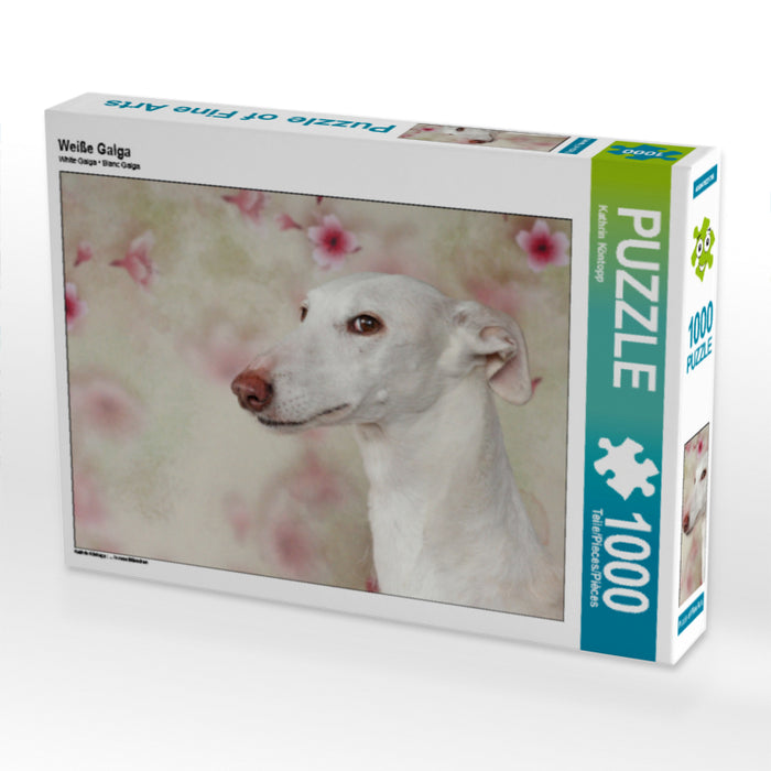 Weiße Galga 1000 Teile Puzzle quer - CALVENDO Foto-Puzzle'