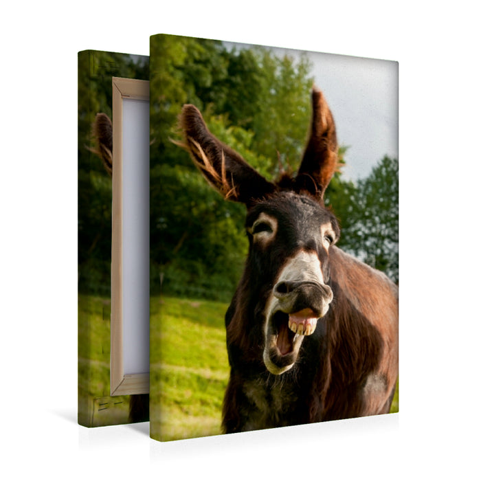 Premium Textil-Leinwand Großeselin
