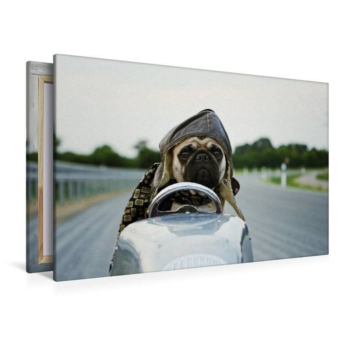 Premium Textil-Leinwand Rasender Mops