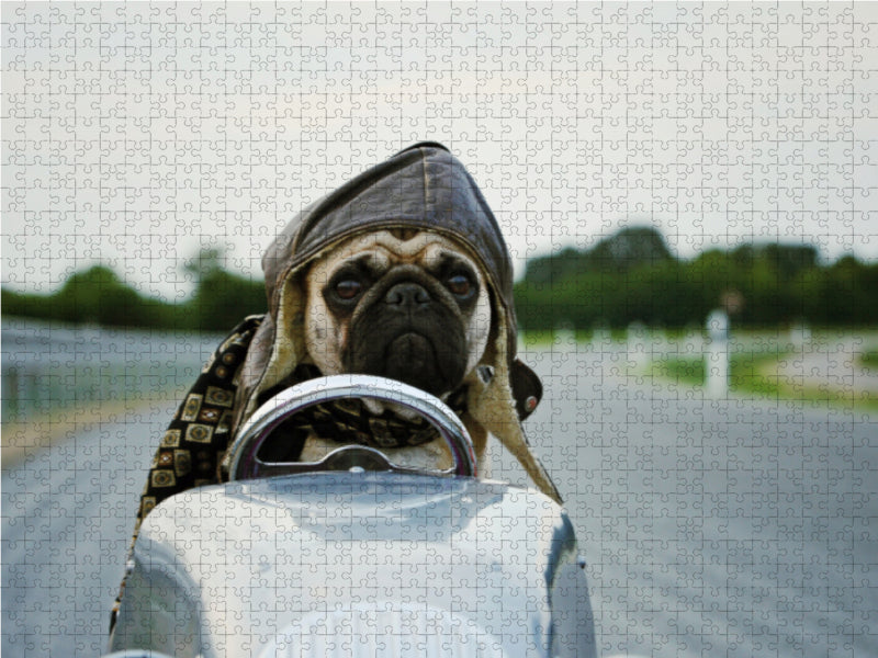 Rasender Mops 1000 Teile Puzzle quer - CALVENDO Foto-Puzzle'