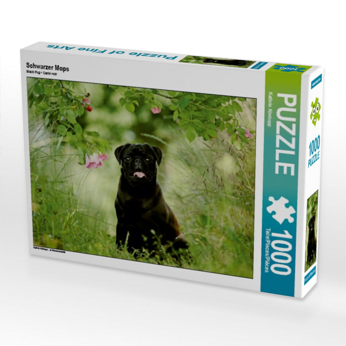 Black Pug - CALVENDO photo puzzle 
