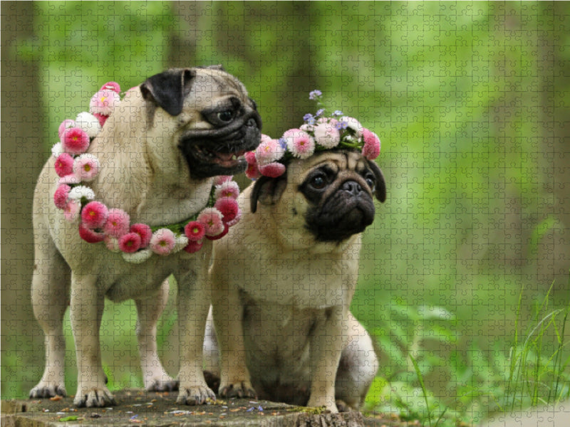 Forest pug girl - CALVENDO photo puzzle 