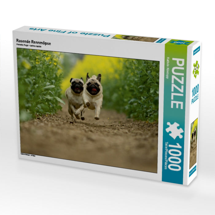Racing pugs - CALVENDO photo puzzle 