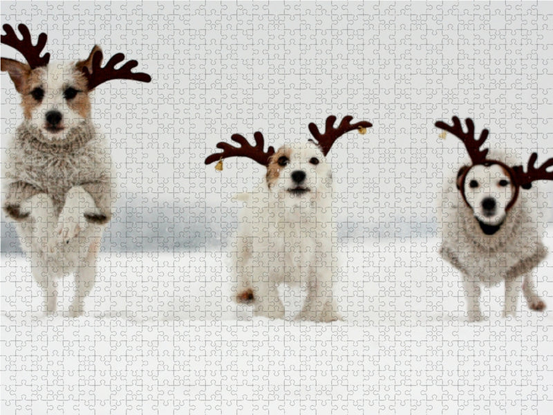 The reindeer - CALVENDO photo puzzle 