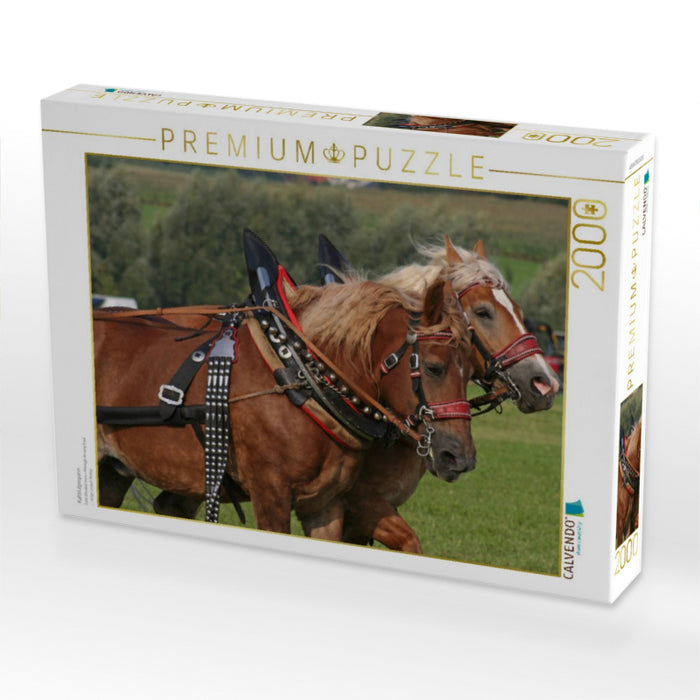 Kaltblutgespann - CALVENDO Foto-Puzzle'
