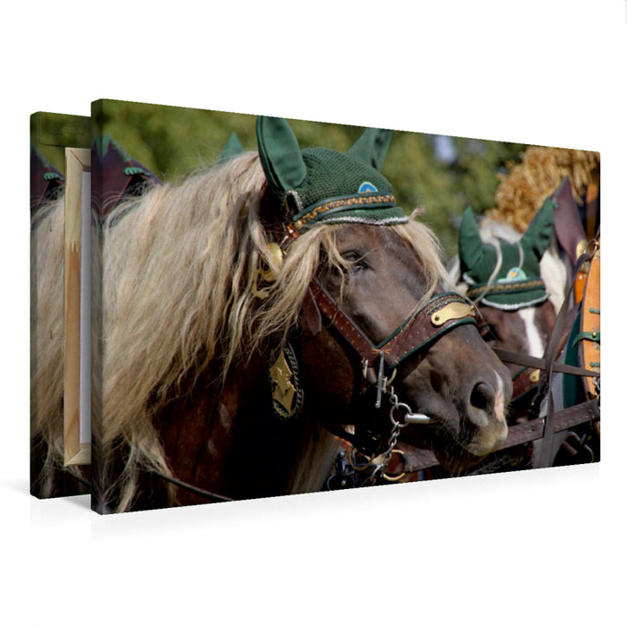 Toile textile premium Toile textile premium 120 cm x 80 cm paysage Noriker 