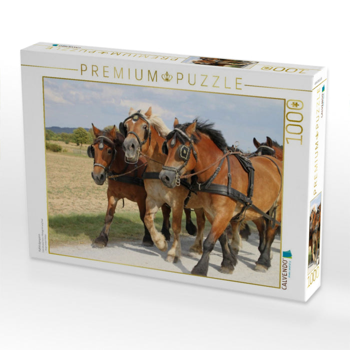 Kaltblutgespann - CALVENDO Foto-Puzzle'
