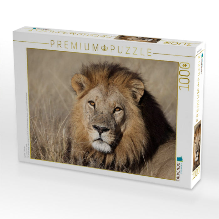 Löwen – Pascha - CALVENDO Foto-Puzzle'