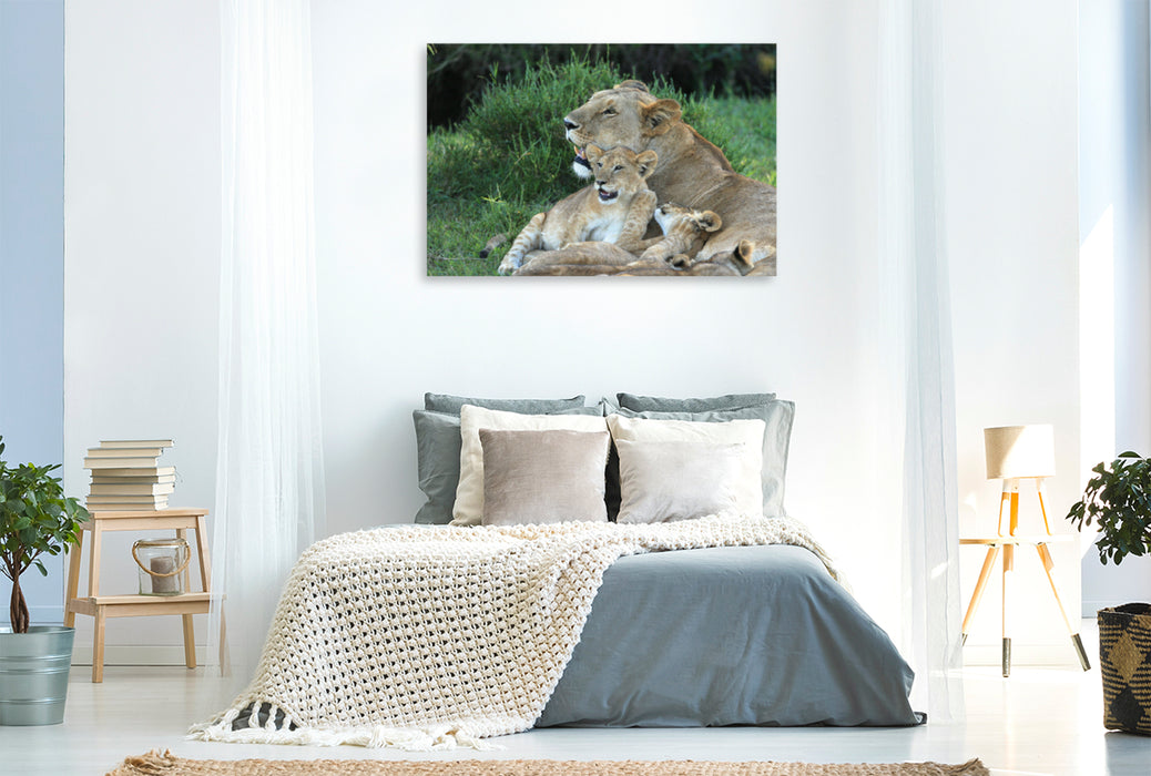 Toile textile premium Toile textile premium 120 cm x 80 cm paysage lions - bonheur maman 