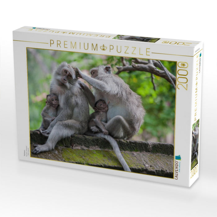 Makaken - CALVENDO Foto-Puzzle'