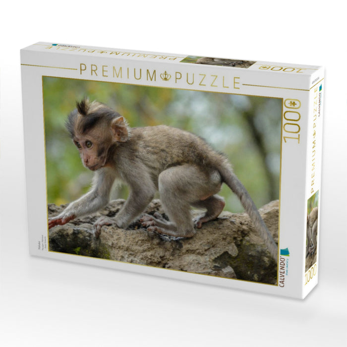 Makake - CALVENDO Foto-Puzzle'
