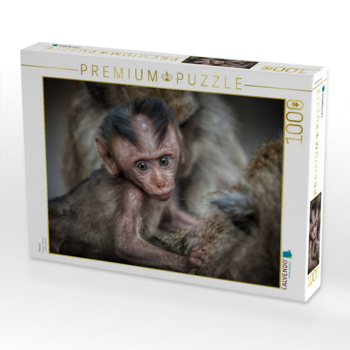 Makake - CALVENDO Foto-Puzzle'