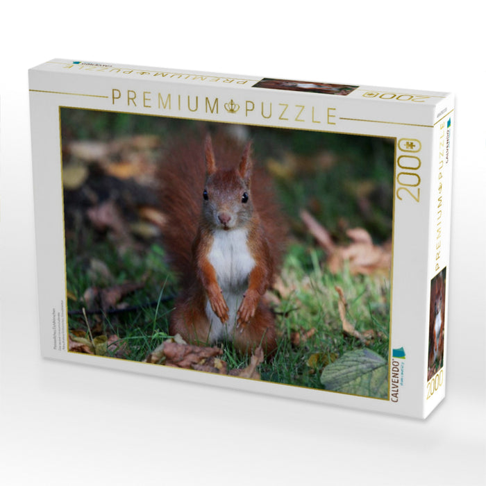 Possierliches Eichhörnchen - CALVENDO Foto-Puzzle'
