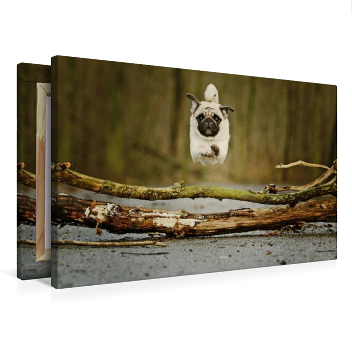 Premium Textil-Leinwand Sportlicher Mops